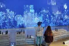 IMG-20250928-WA0147