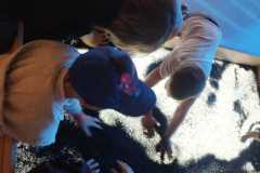IMG-20250928-WA0153