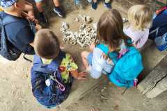 IMG-20250711-WA0017